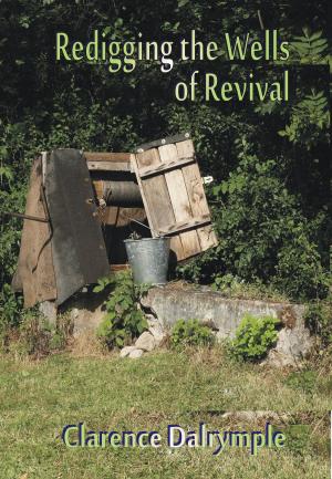bigCover of the book Redigging the Wells of Revival by 