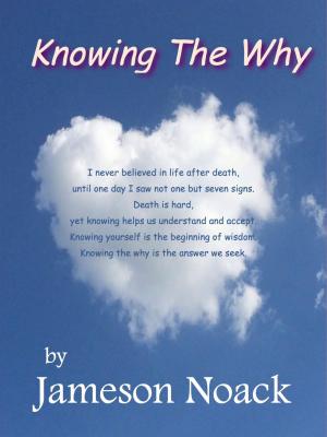 bigCover of the book Knowing The Why by 