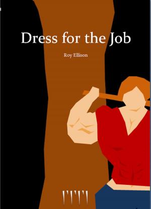 Book cover of Dress for the Job