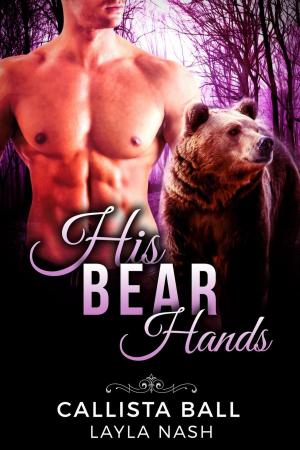 Cover of the book His Bear Hands by Paul D Roberts