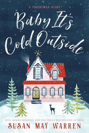 Cover of the book Baby, It's Cold Outside by Rachel Tolman Terry
