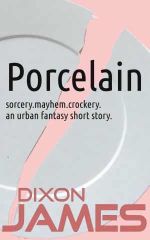 Cover of the book Porcelain by Pamela Fox