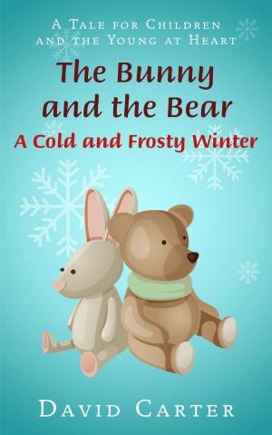 Cover of The Bunny and the Bear - A Cold and Frosty Winter
