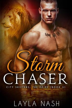 Cover of the book Storm Chaser by Jordan Deen