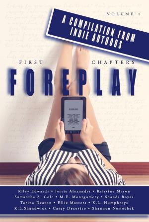 Cover of the book First Chapters: Foreplay by JV Boswell