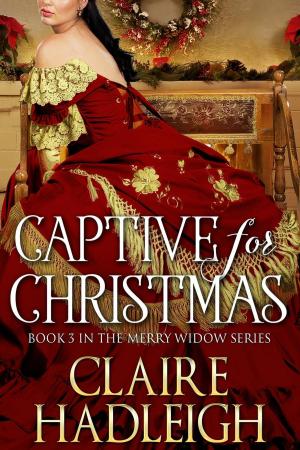 bigCover of the book Captive for Christmas by 