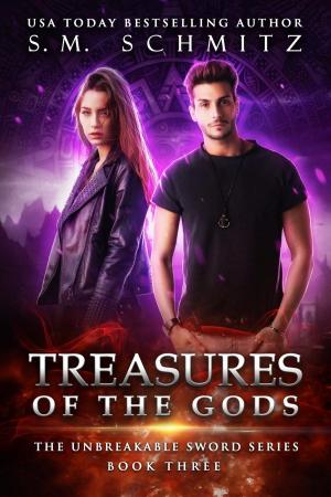 Cover of the book Treasures of the Gods by Karen J Anderson
