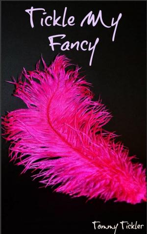 Book cover of Tickle My Fancy