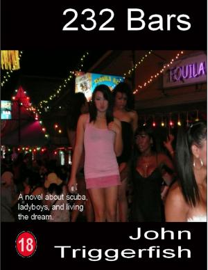 Cover of the book 232 Bars: A Novel About Scuba, Ladyboys, and Living the Dream by Oluwagbemiga Olowosoyo
