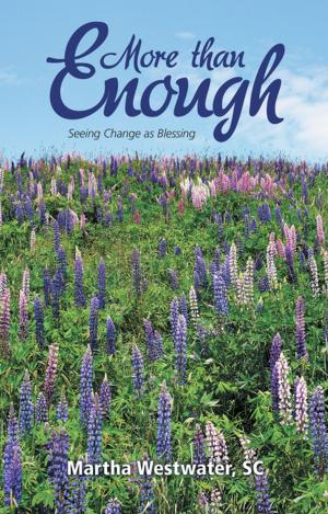 Cover of the book More Than Enough by Deidre Joy