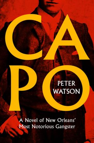 Book cover of Capo