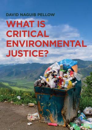 Cover of the book What is Critical Environmental Justice? by Joseph Jaffe, Maarten Albarda