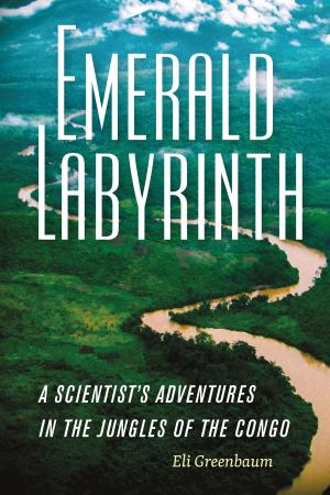 Cover of the book Emerald Labyrinth by Katherine Ramsland