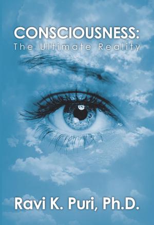 Cover of the book Consciousness by John Antonakos