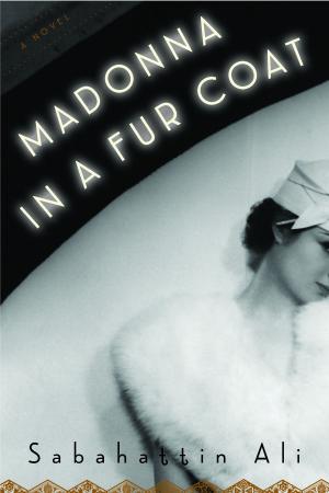 bigCover of the book Madonna in a Fur Coat by 