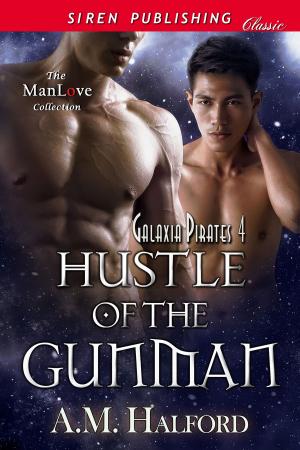 Book cover of Hustle of the Gunman