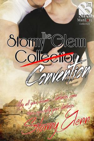 Book cover of The Stormy Glenn Convention