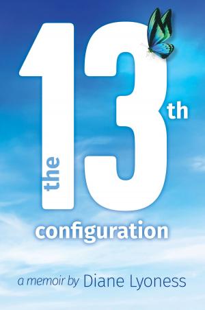 Cover of the book The 13th Configuration by Andrew Sorensen