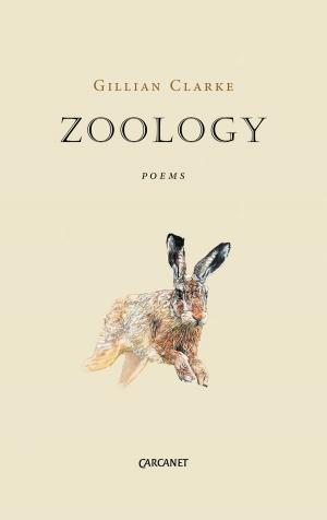 Cover of the book Zoology by Sujata Bhatt
