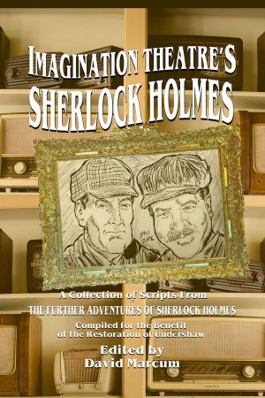 bigCover of the book Imagination Theatre's Sherlock Holmes by 