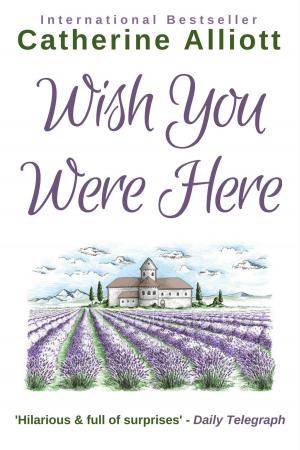 Cover of the book Wish You Were Here by Samantha Ford
