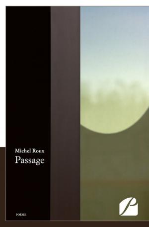 Cover of the book Passage by Rebecca Mena