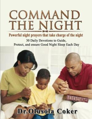 Cover of the book Command the Night Powerful night prayers that take charge of the night by Carina Klein