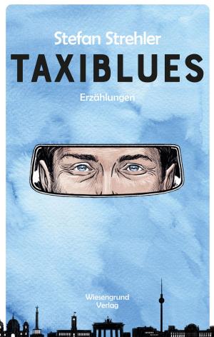 Cover of the book Taxiblues by Helena Steiner-Hornsteyn