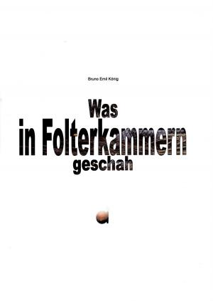 Book cover of Was in Folterkammern geschah