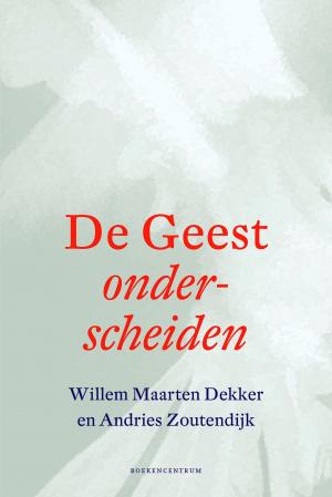 Cover of the book De geest onderscheiden by A.C. Baantjer