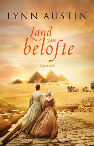 Cover of the book Land van belofte by Marinus van den Berg