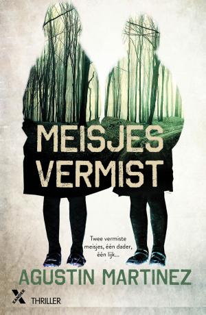 Cover of the book Meisjes vermist by Markus Lutteman, Mons Kallentoft