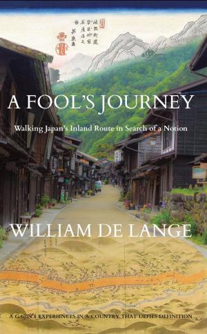 Book cover of A Fool's Journey