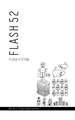 Cover of the book Flash 52 by Lily Tuck