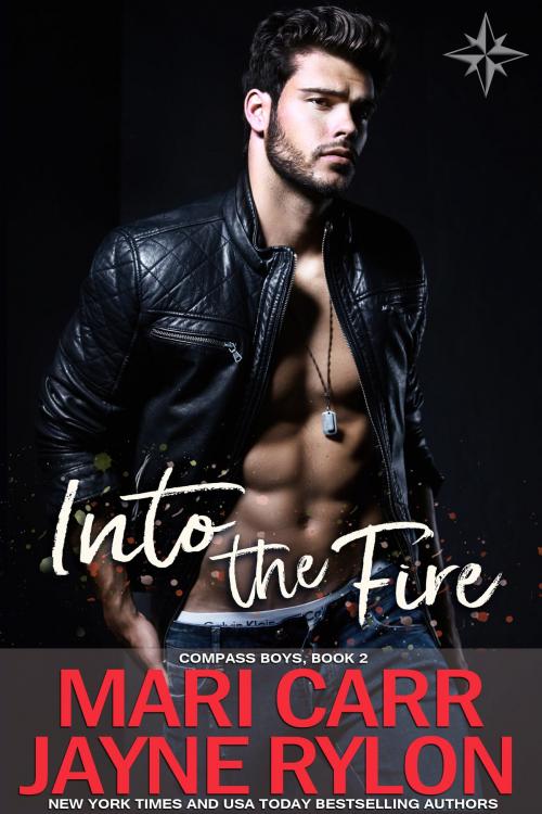 Cover of the book Into the Fire by Mari Carr, Jayne Rylon, Carried Away Publishing