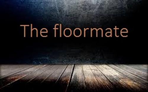 Cover of the book The Floormate by VT, VT