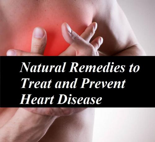 Cover of the book Natural Remedies to Treat and Prevent Heart Disease by VT, VT