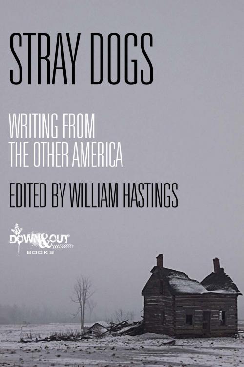 Cover of the book Stray Dogs: Writing from the Other America by William Hastings, Down & Out Books