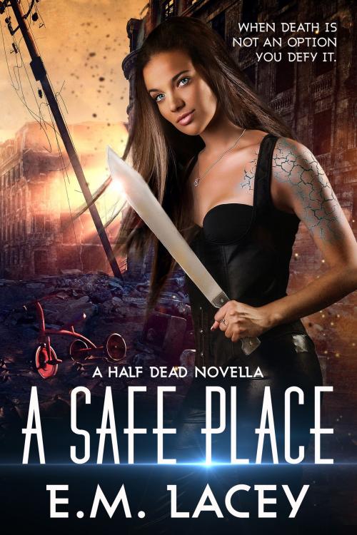 Cover of the book A Safe Place by E.M. Lacey, Seeds of Fiction