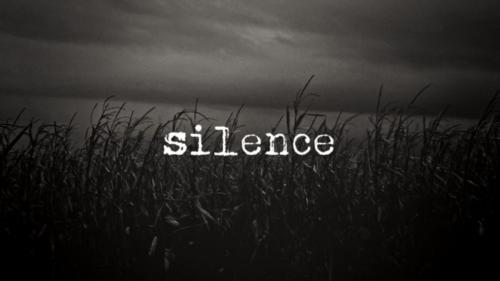 Cover of the book Silence by VT, VT