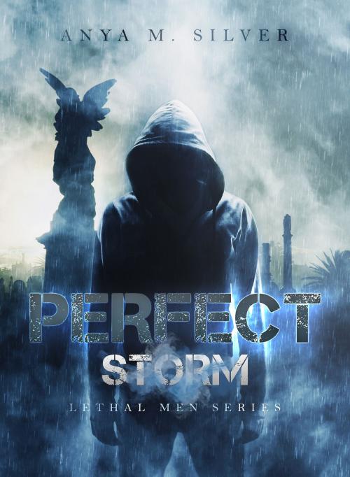 Cover of the book Perfect Storm by Anya M. Silver, AMS