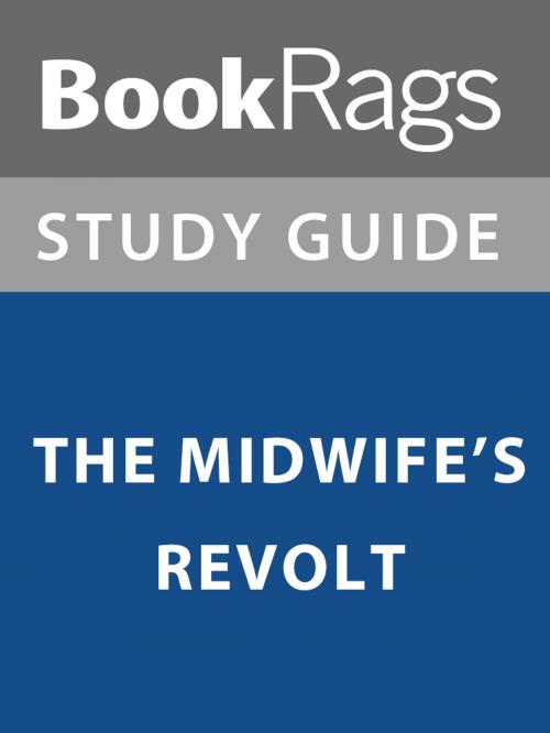 Cover of the book Summary & Study Guide: The Midwife's Revolt by BookRags, BookRags