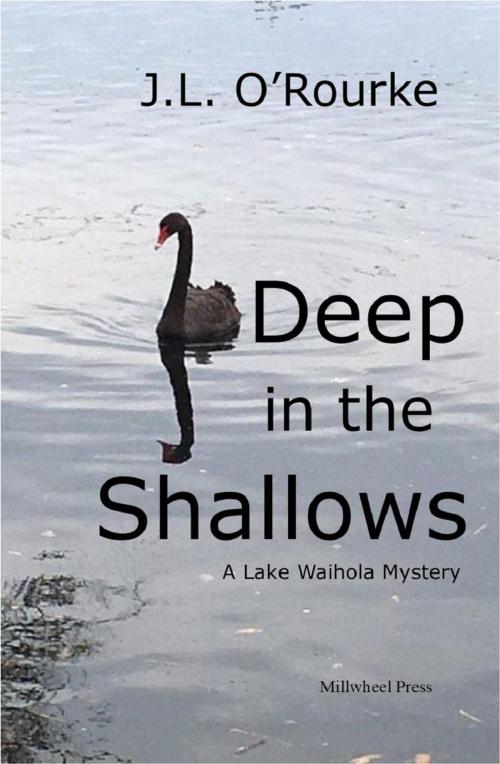 Cover of the book Deep in the Shallows by J.L. O'Rourke, Millwheel Press