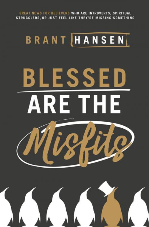 Cover of the book Blessed Are the Misfits by Brant Hansen, Thomas Nelson