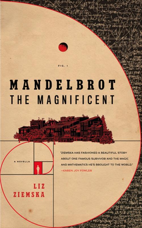 Cover of the book Mandelbrot the Magnificent by Liz Ziemska, Tom Doherty Associates