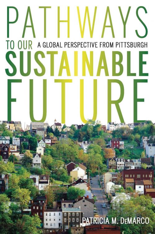 Cover of the book Pathways to Our Sustainable Future by Patricia M. DeMarco, University of Pittsburgh Press