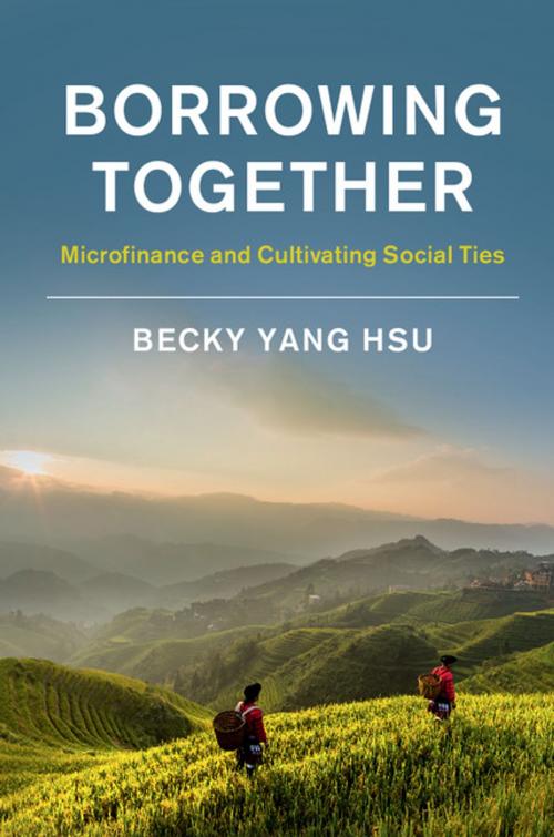 Cover of the book Borrowing Together by Becky Yang Hsu, Cambridge University Press