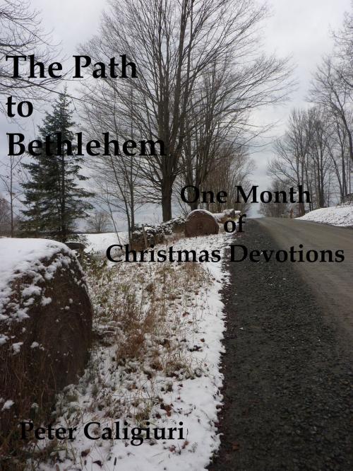 Cover of the book The Path to Bethlehem One Month of Christmas Devotions by Peter Caligiuri, Peter Caligiuri
