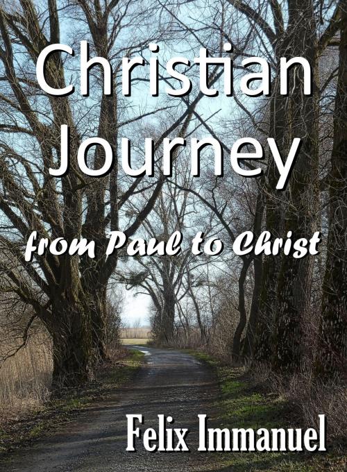 Cover of the book Christian Journey by Felix Immanuel, Felix Immanuel