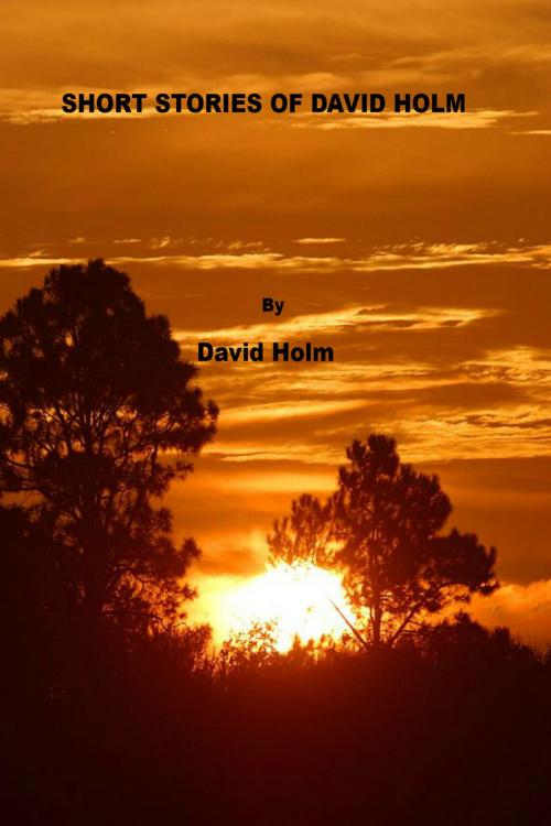 Cover of the book Short Stories of David Holm by David Holm, David Holm